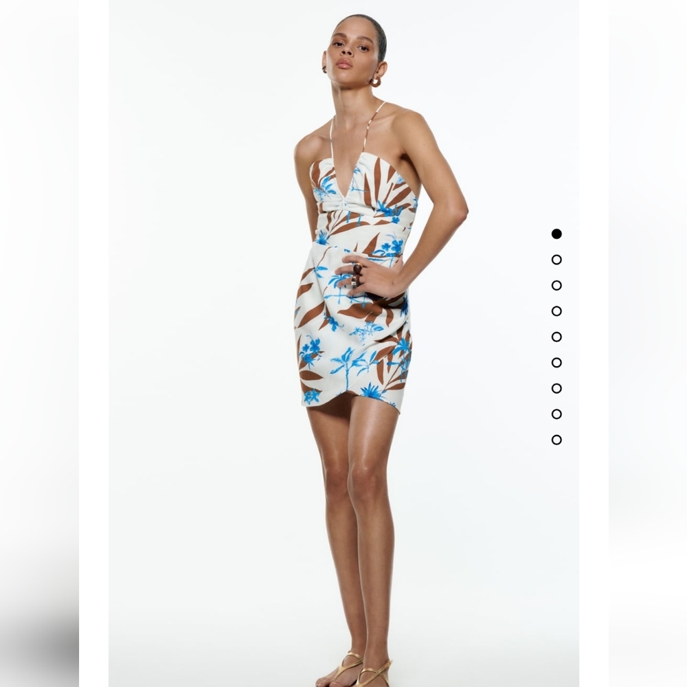 Zara Printed Dress
